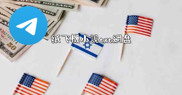 纸飞機小說txt網盘