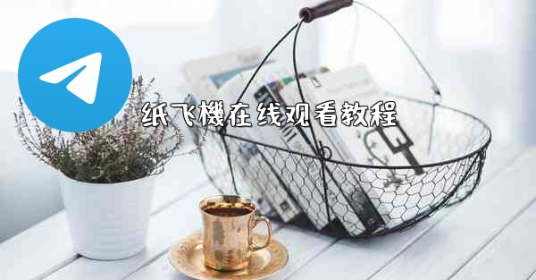 纸飞機在线观看教程