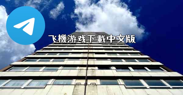 飞機游戏下載中文版