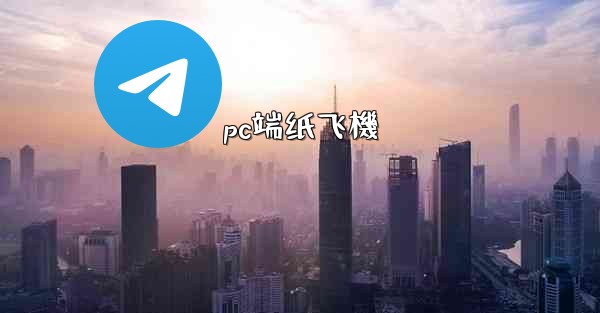 pc端纸飞機