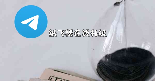 纸飞機在线升級