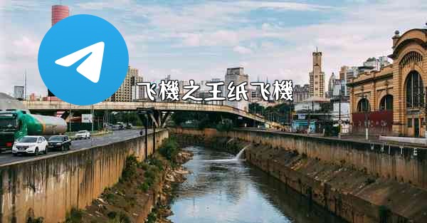 飞機之王纸飞機