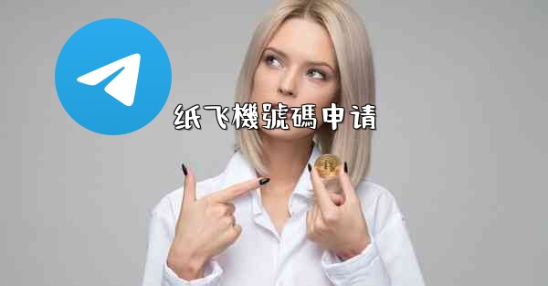 纸飞機號碼申请