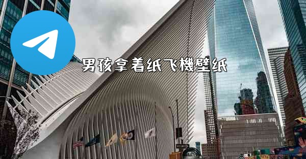 男孩拿着纸飞機壁纸