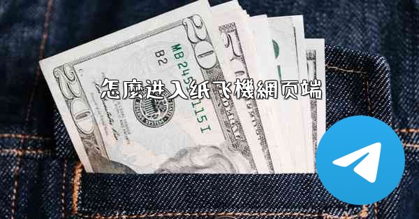 怎麼进入纸飞機網页端