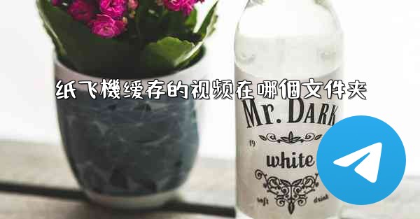 纸飞機缓存的视频在哪個文件夹