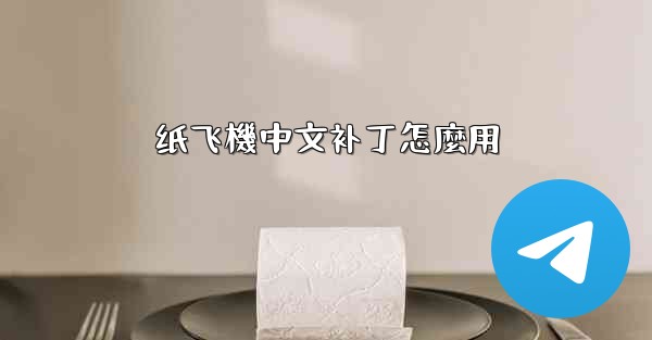 纸飞機中文补丁怎麼用