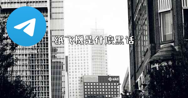 纸飞機是什麼黑话