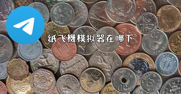 纸飞機模拟器在哪下