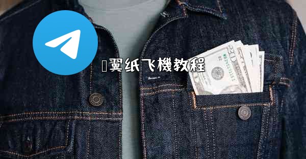 鸭翼纸飞機教程