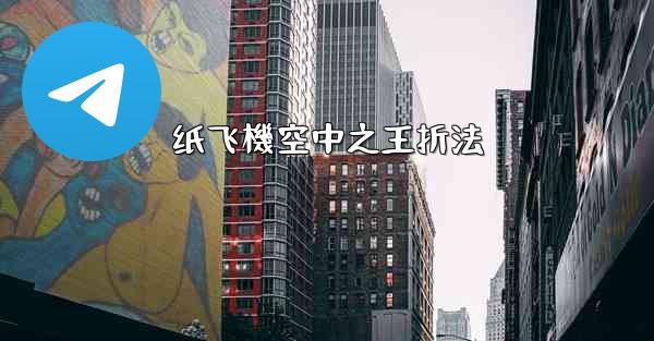 纸飞機空中之王折法