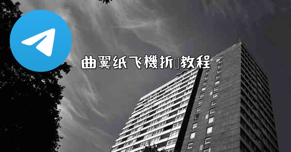曲翼纸飞機折叠教程