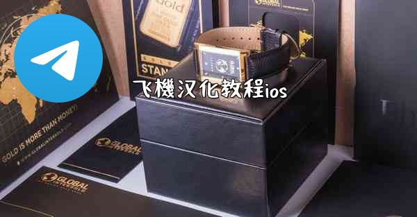 飞機汉化教程ios