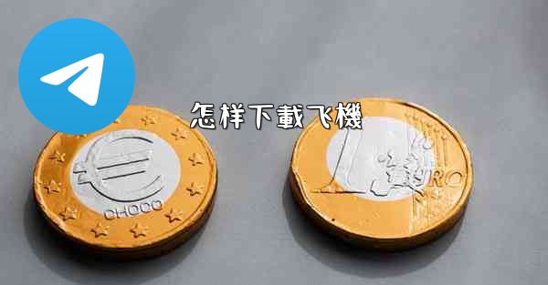 怎样下載飞機