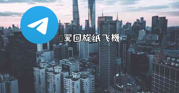 鸭翼回旋纸飞機