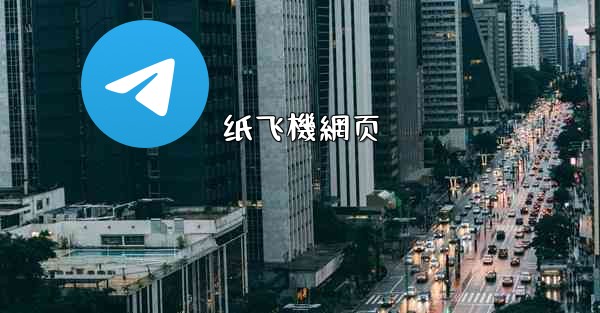 纸飞機網页