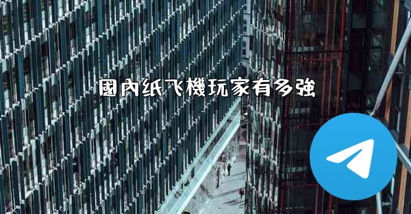 國內纸飞機玩家有多強