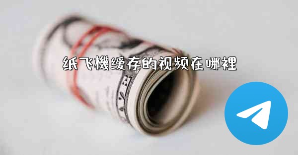 纸飞機缓存的视频在哪裡