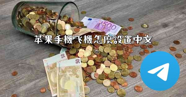 苹果手機飞機怎麼設置中文