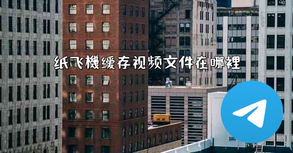 纸飞機缓存视频文件在哪裡