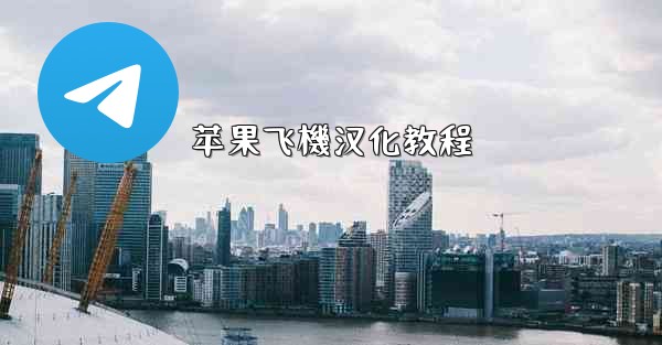 苹果飞機汉化教程