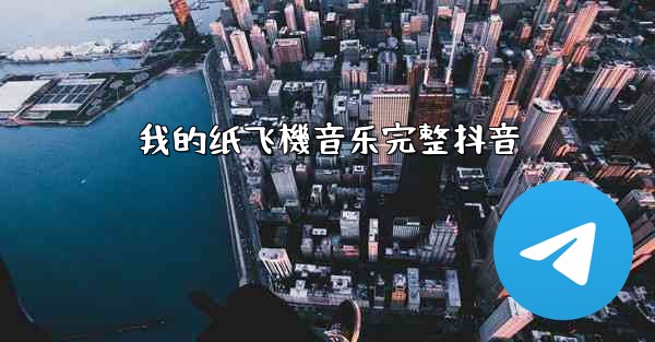 我的纸飞機音乐完整抖音