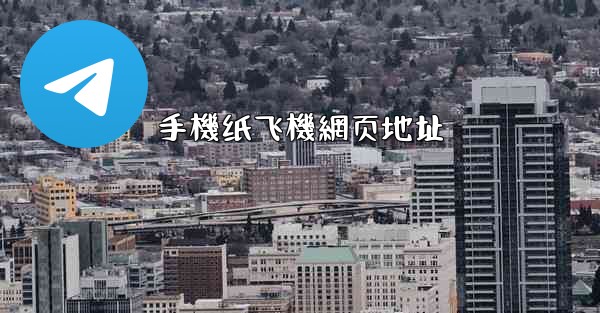 手機纸飞機網页地址