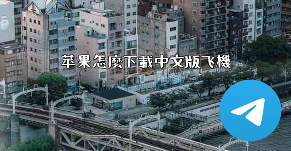 苹果怎麼下載中文版飞機