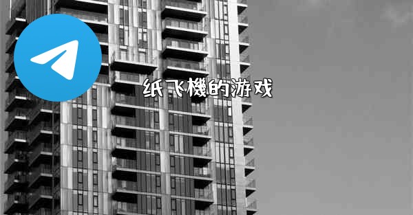 纸飞機的游戏