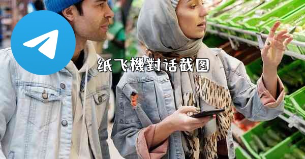 纸飞機對话截图