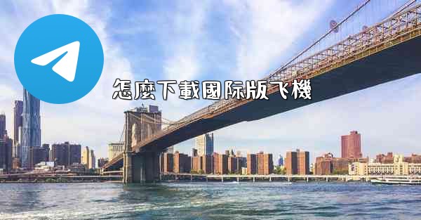 怎麼下載國际版飞機