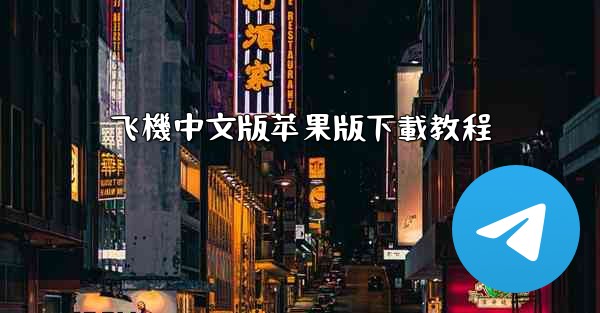 飞機中文版苹果版下載教程