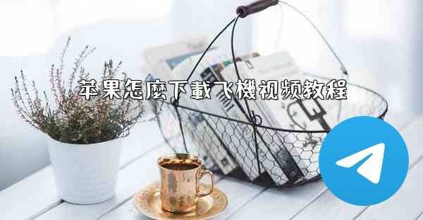 苹果怎麼下載飞機视频教程