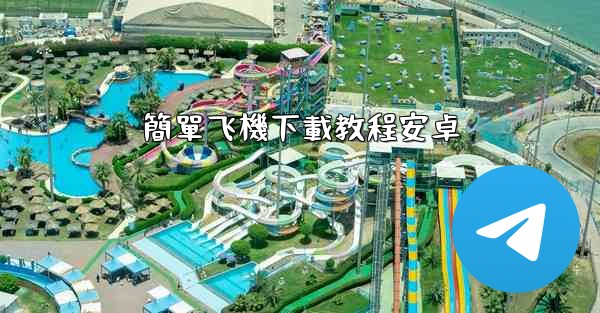 簡單飞機下載教程安卓