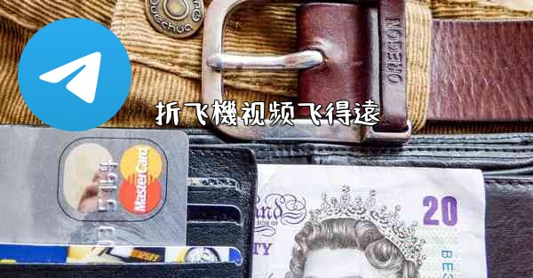 折飞機视频飞得遠