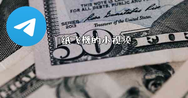 叠纸飞機的小视频