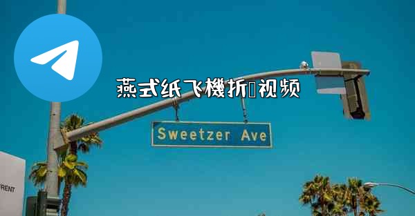 燕式纸飞機折叠视频