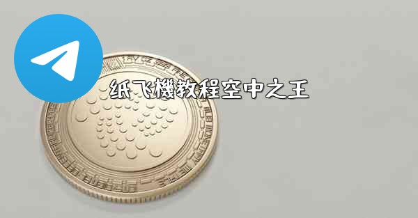 纸飞機教程空中之王