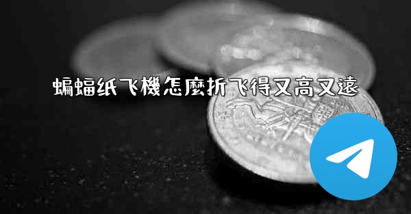 蝙蝠纸飞機怎麼折飞得又高又遠