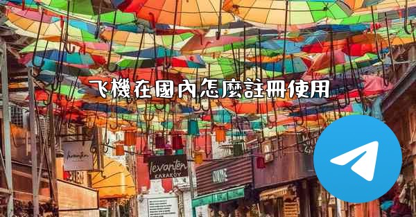 飞機在國內怎麼註冊使用