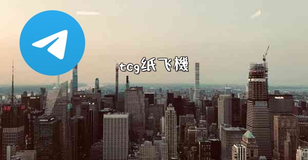tcg纸飞機