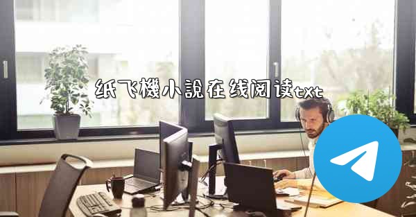 纸飞機小說在线阅读txt