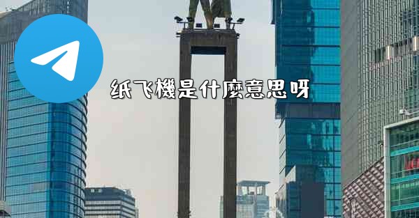 纸飞機是什麼意思呀