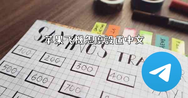 苹果飞機怎麼設置中文