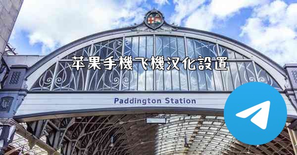 苹果手機飞機汉化設置