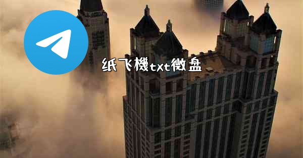 纸飞機txt微盘