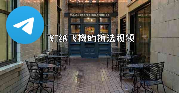 飞鲨纸飞機的折法视频