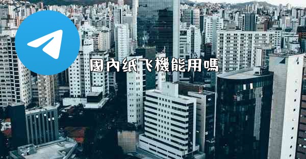 國內纸飞機能用嗎