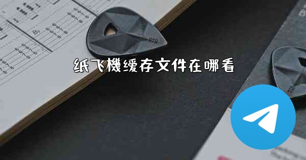 纸飞機缓存文件在哪看