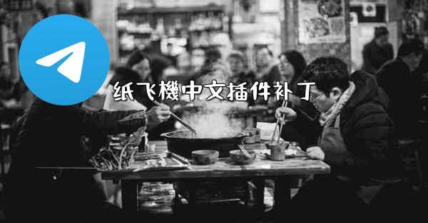 纸飞機中文插件补丁